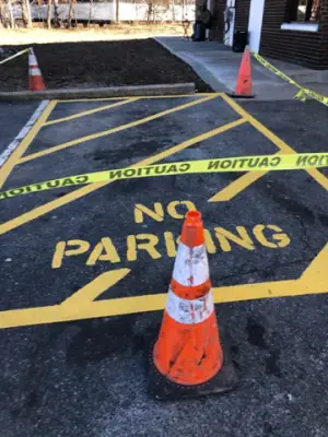 Yellow no-parking markings and crosshatching on the asphalt.